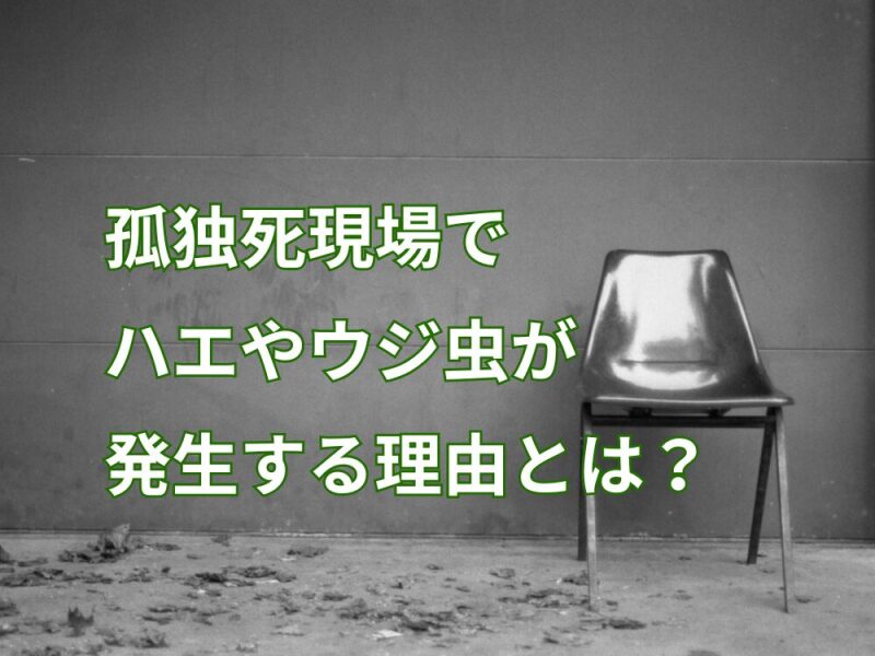 孤独死現場ではなぜウジ虫やハエが発生する？｜特殊清掃業者が伝えるウジ・ハエの発生理由と対応方法