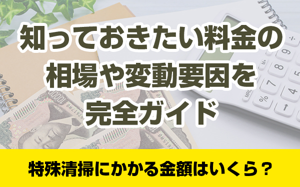 特殊清掃にかかる金額はいくら？知っておきたい料金の相場や変動要因を完全ガイド